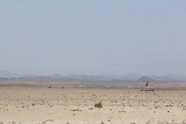 Mısır'da günbatımı Sandy çöl