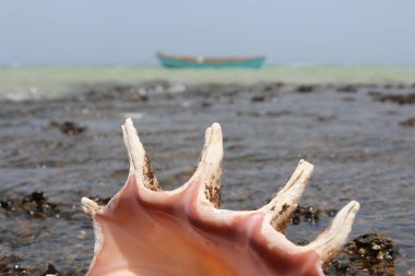 Mısır Mısır Dağları ile plaj ve Kızıldeniz tekne