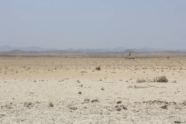 A naplemente homokos sivatagban, Egyiptomban — Stock Fotó