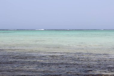 Red Sea beach Kızıldeniz Mısır