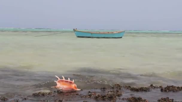 Afrika zicht van de rode zee en de kustlijn. Egypte — Stockvideo