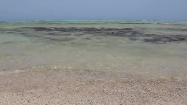 Afrika Pemandangan Laut Merah dan pantai. Mesir — Stok Video