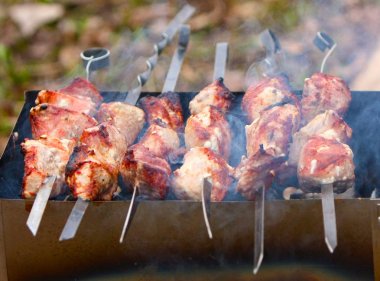 Şiş kebap şişleri doğada üzerinde yemek kavramı. Kömür ızgara açık bir yangında etlerin fry. Yatay görüntü