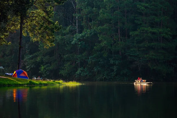 Лесной Кемпинг Вид Горы Озером Соснами Утром — стоковое фото