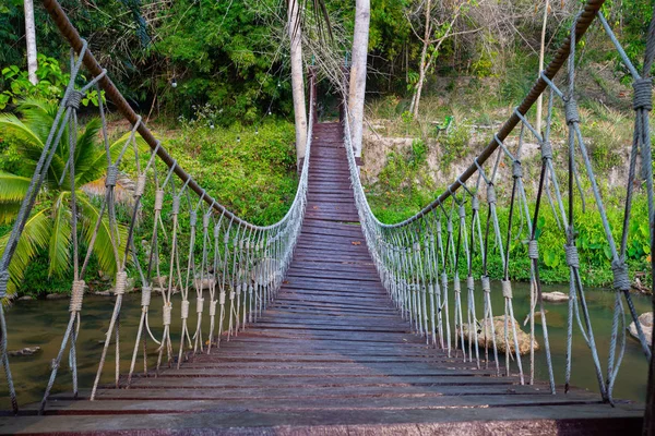 Walkway Bridge Cross River Deep Jungle — 스톡 사진