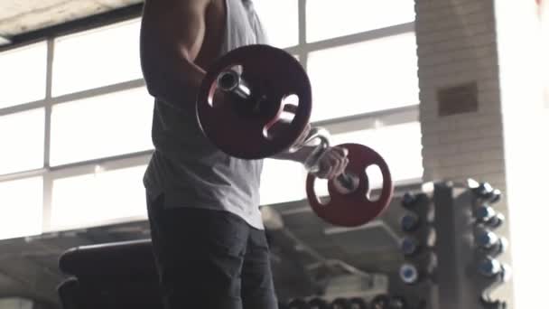 Muskulös man tränar på gym gör övningar med vikter — Stockvideo