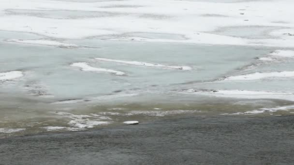 Mengalir air di latar belakang es. Sungai Spring — Stok Video