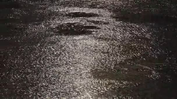 Riverbero dal sole che tramonta sull'acqua. increspature sul fiume — Video Stock