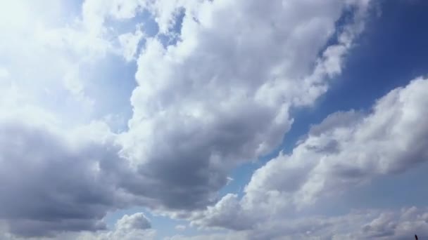 Filmiki z upływu czasu gwałtownie przyspieszają tworzenie się chmur deszczowych. — Wideo stockowe