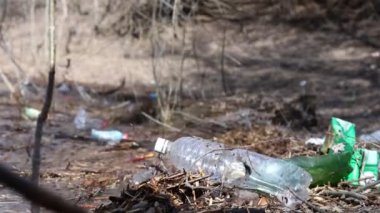 Göl suyunda bir sürü plastik şişe var. Çevre kirliliği, mikro plastik