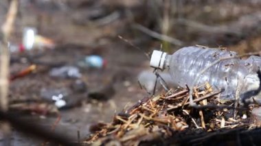 Göl suyunda bir sürü plastik şişe var. Çevre kirliliği, mikro plastik