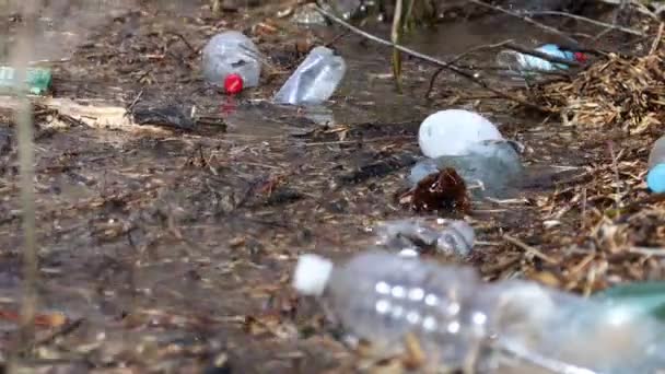 Muitos garrafa de plástico na água do lago. poluição ambiental, microplástico — Vídeo de Stock