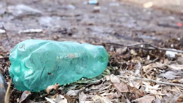 Göl suyunda bir sürü plastik şişe var. Çevre kirliliği, mikro plastik — Stok video