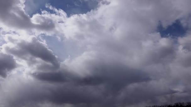 太陽の雲は木の上をすばやく移動します。嵐の天気のタイムラプス — ストック動画