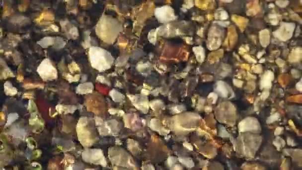 Multi-colored small pebbles at the bottom of a stream through clear water — Stock Video