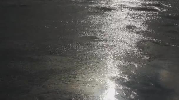 Éblouissement du soleil couchant sur l'eau. Ondulations sur la rivière 