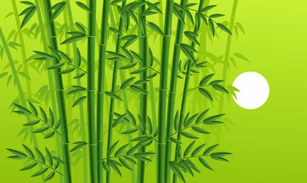 Ilustração Uma Floresta Árvores Bambu Fundo Branco — Fotografia de Stock