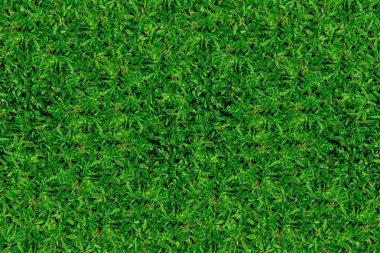 Yeşil çimenlerin yakın çekimi, arka planınız için doğal doku kavramı.