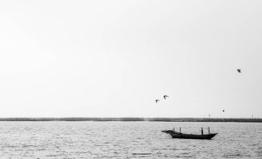 Denizde bir balıkçı teknesi ve dört uçan kuş, siyah beyaz