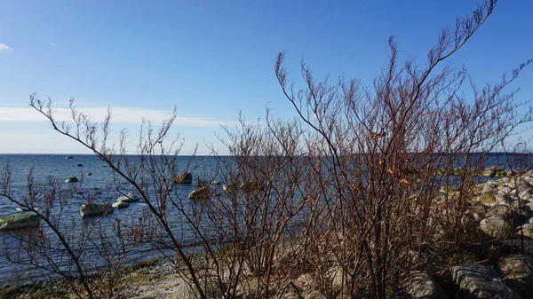 Mar Báltico Golfo Finlandia Estonia —  Fotos de Stock