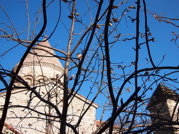 기독교 수도원의 배경에 가지들 — 스톡 사진