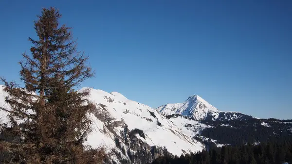 Los Alpes Franceses Invierno Francia — Foto de Stock