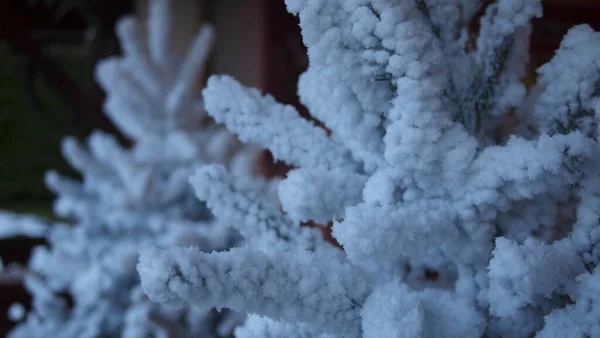 Vánoční Stromek Sněhu Francouzské Alpy Francie — Stock fotografie