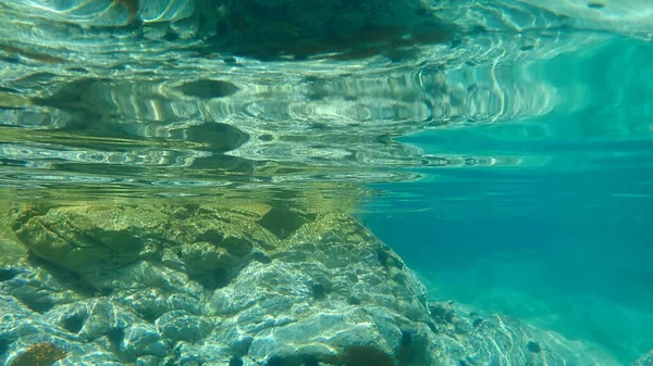 Garnaal Snoek Zeenaald Belone Belone Egeïsche Zee Griekenland Halkidiki — Stockfoto