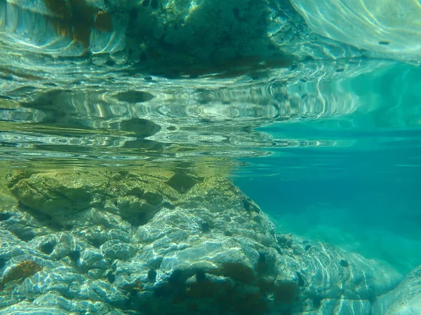 Garnaal Snoek Zeenaald Belone Belone Egeïsche Zee Griekenland Halkidiki — Stockfoto