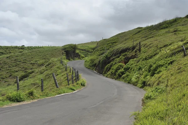 Kurvenreiche Straße auf einem grasbewachsenen Hügel — Stockfoto