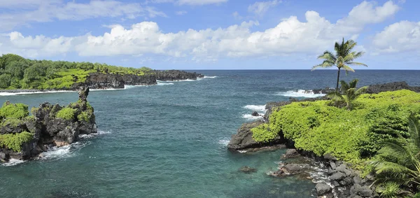 Wybrzeżu Maui, Hawaje Obraz Stockowy