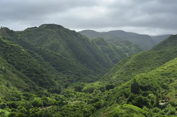 Vale tropical verde — Fotografia de Stock