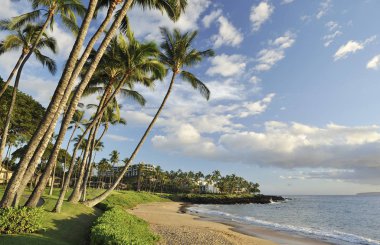 Tropikal beach Maui