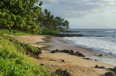 Tropikal beach Maui