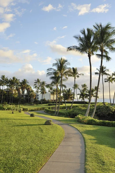 Kaldırım okyanus, Maui, Hawaii