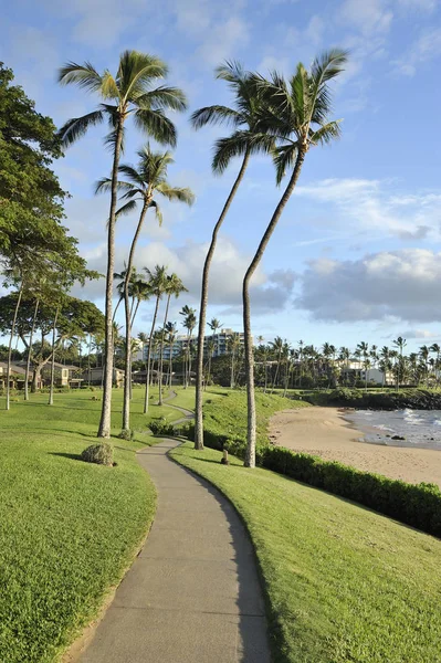 Kaldırım deniz, Maui, Hawaii