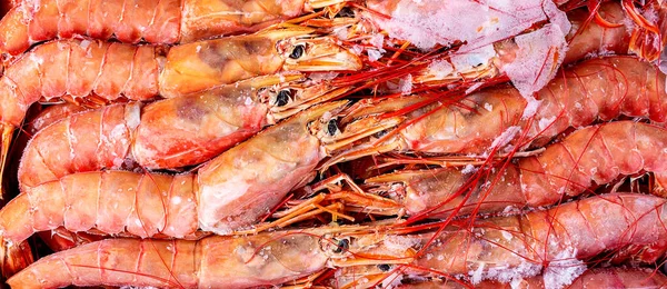 Frozen large raw uncooked shrimps banner background. — Stock Photo, Image