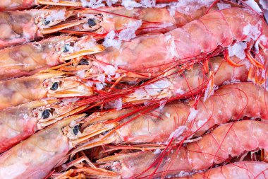 Donmuş büyük pişmemiş kırmızı karides arkaplanı.