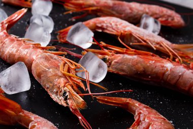 İnanılmaz taze donmuş karidesler. Siyah arka planda buzlu, pişmemiş pembe karidesler ve tuz. Yakın plan. Donmuş deniz ürünleri dükkanlara teslim edilecek. Lezzetler, deniz ürünleri konsepti..