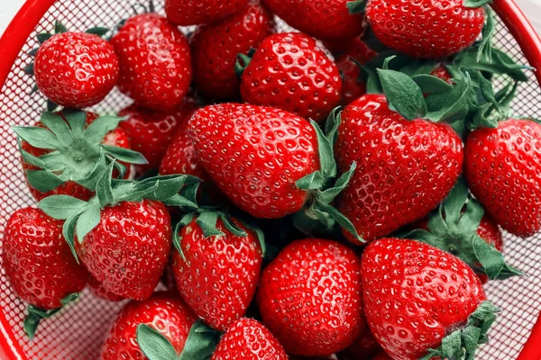 Frische Erdbeeren in roter Schüssel. Nahaufnahme. — Stockfoto
