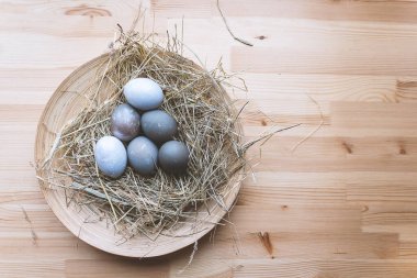 İnanılmaz boyalı Paskalya yumurtaları. Gri mavi yumurtalar, ahşap tabakta, kuru çimenler üzerinde. Köy evinde ya da çiftlikte paskalya. Paskalya süsü olarak saman ve renkli ot kullanıyormuş. Boşluğu kopyala.