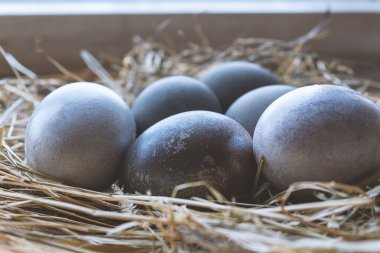 İnanılmaz boyalı Paskalya yumurtaları. Gri mavi yumurtalar kuru çimlerde. Köy evinde ya da çiftlikte paskalya. Paskalya süsü olarak saman ve renkli ot kullanılıyor..