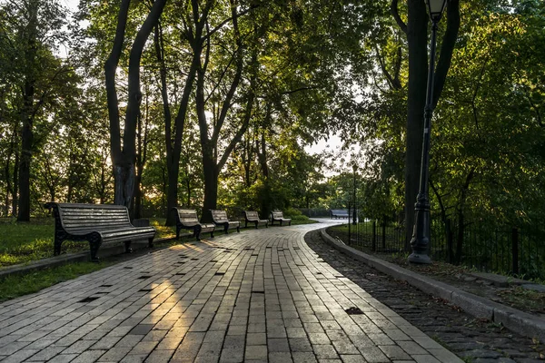 Path City Park Filled Morning Sun — Stockfoto