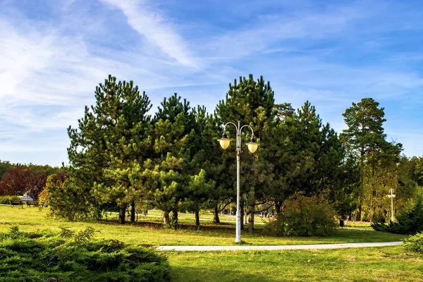 Beautiful Landscape City Park — Stock Photo, Image