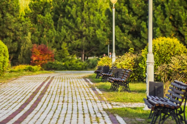 Het Stenen Pad Het Park — Stockfoto