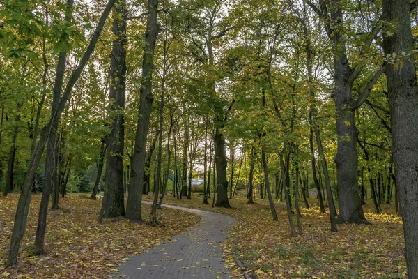 Het Stenen Pad Het Park — Stockfoto