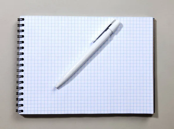 Блокнот с ручкой на белом фоне — стоковое фото