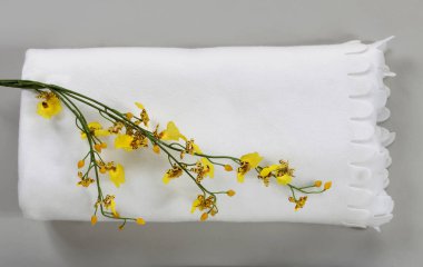 gri arka plan üzerinde beyaz Polar şal