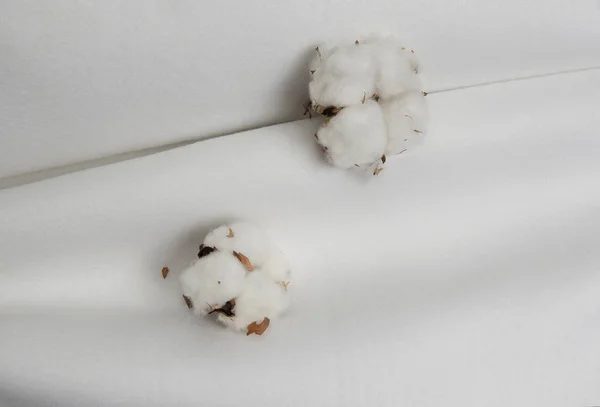 Cotton flowers on a white plaid.composition for textiles — Stock Photo, Image