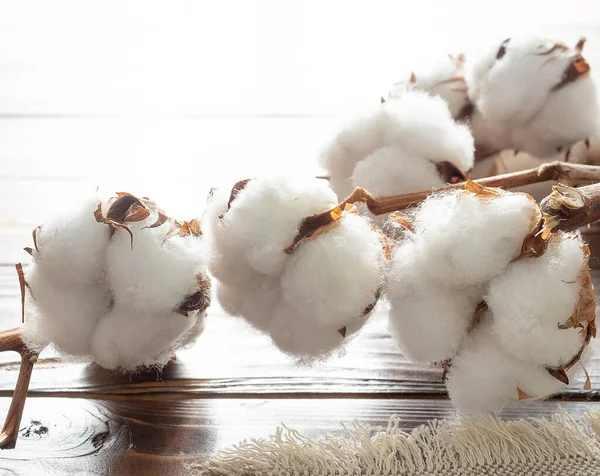 Cotton Branch Wooden Table — Stock Photo, Image